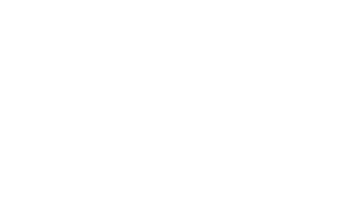 silvertize-lg-logo